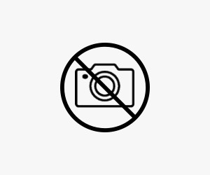 Nikon 1 S1